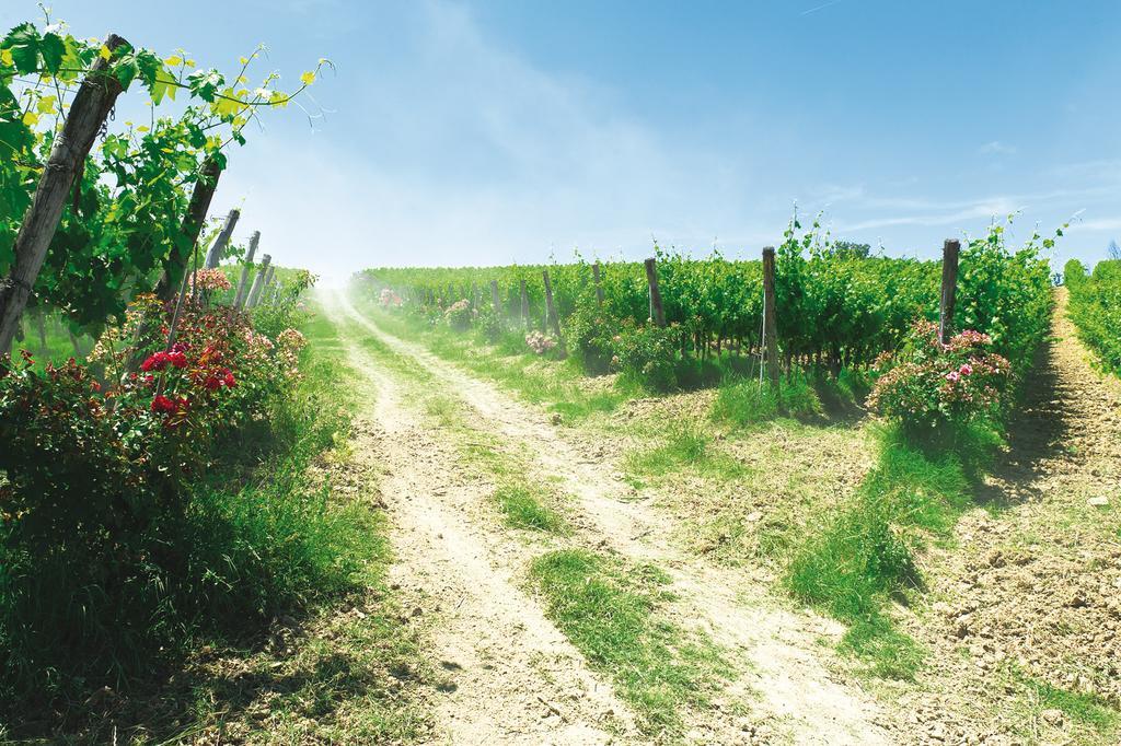 Roccafiore Wine Resort & Spa Todi Eksteriør bilde