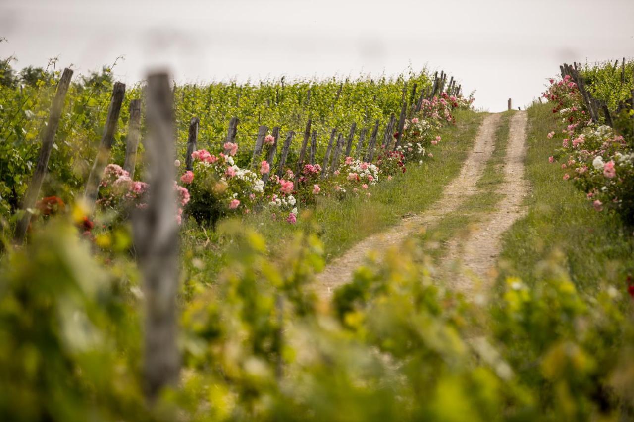 Roccafiore Wine Resort & Spa Todi Eksteriør bilde